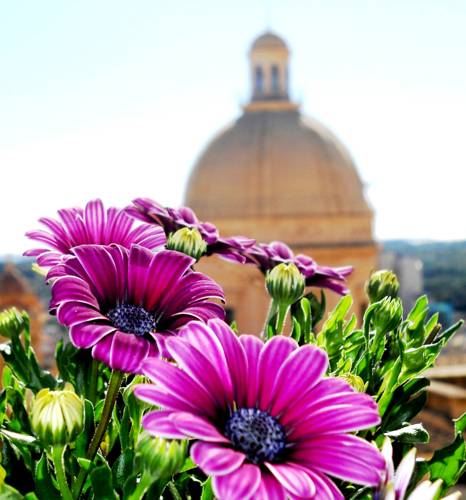 Noto Italien buchung hotel promo code booking.com