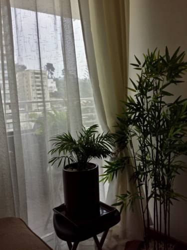 Viña del Mar. Chile buchung hotel promo code booking.com