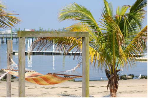 Ocean City (Maryland) Vereinigte Staaten buchung hotel promo code booking.com
