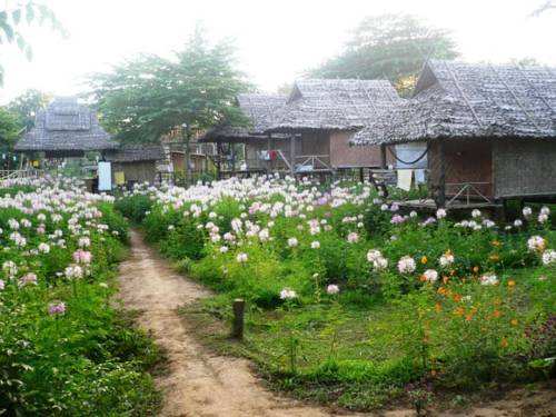 Pai Thailand buchung hotel promo code booking.com