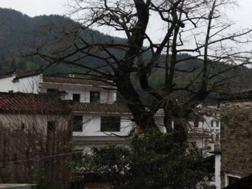 Wuyuan China buchung hotel promo code booking.com